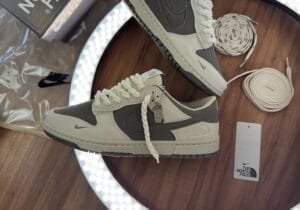 Dunk Low x The North Face