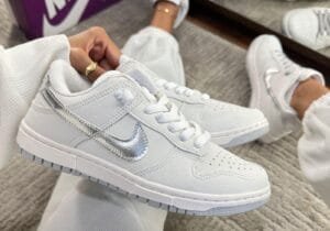 Dunk Low - White SIlver Nike