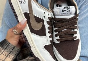 Dunk Low Teddy - Brown & White